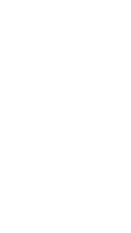 illustration_04_04 https://thelotusrebirth.com/wp-content/uploads/2023/10/illustration_04_04.png
